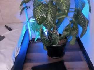 sara-mac Sex Cam Show