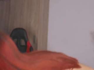 maytevelvet