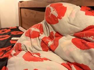 suzettedillon