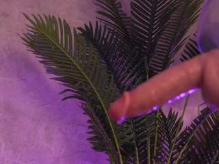 valentinamonroe