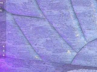 ivonny-kenia live webcam show
