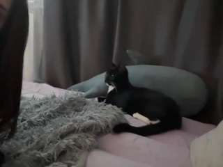 lainebarad