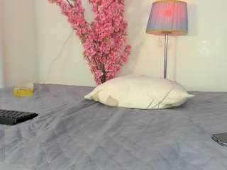 niki247