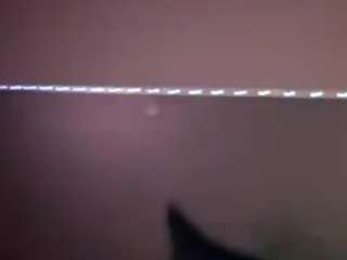 vprosacco714