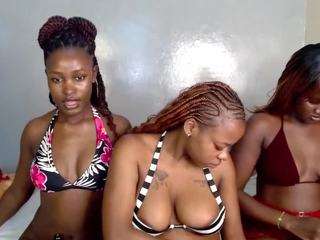 royal309 Sex Cam Show