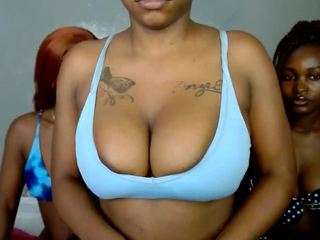 royal309 live webcam show