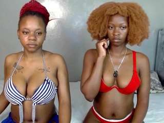 royal309