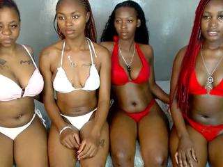 royal309 Live Webcam on CamSoda