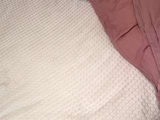 ernestineleitzel live webcam show