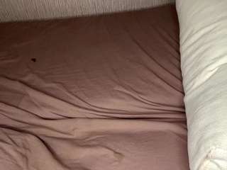 ErnestineLeitzel live webcam show