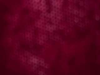 saralaw22