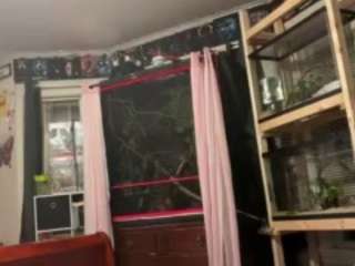 saralaw22 Sex Cam Show