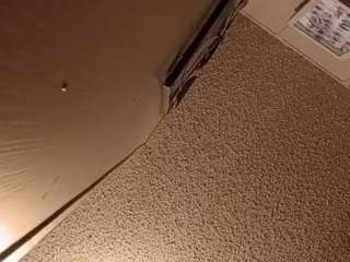 badmilf361