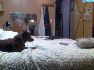 badmilf361 live webcam show