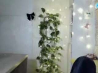 vinasteedman