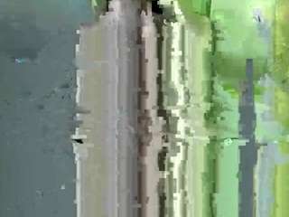 vinasteedman Normal live webcam