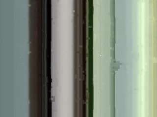 vinasteedman