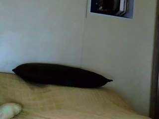 vinasteedman live profile