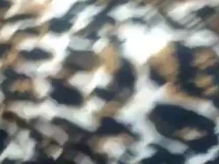 your-balina