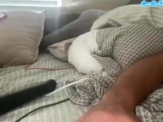 dottiendick78