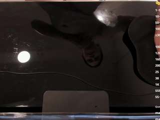 gaby-rose1 webcam