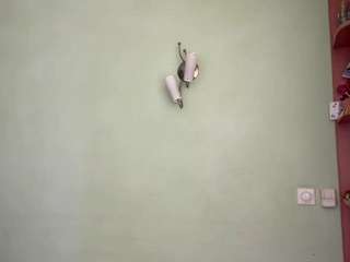 rayewagatsuma Sex Cam Show