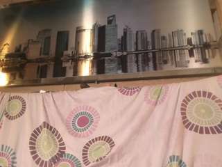 dinacarter