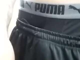 pitudo19cm