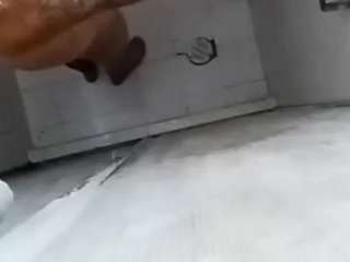 pitudo19cm