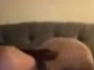 spkywhre
