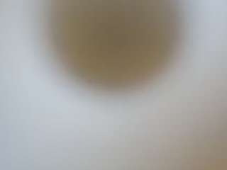 loco333444