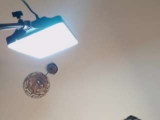 slendyclub