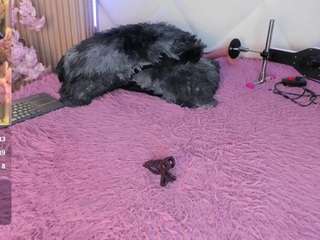 veroniica-hill live webcam show