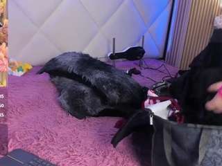 veroniica-hill live cam preview
