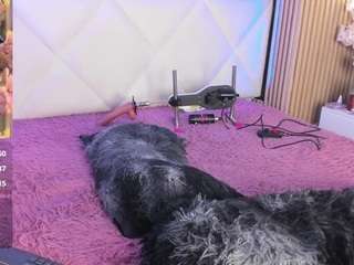 veroniica-hill live cam preview
