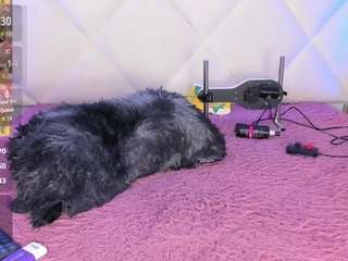 veroniica-hill live cam preview