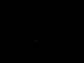 bellamystic