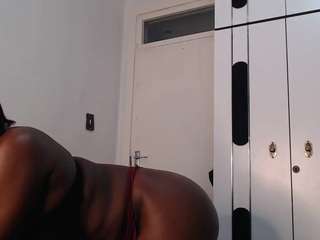 curvyj255