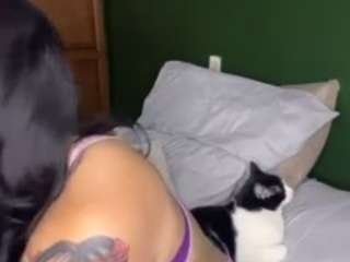 Gabyveli
