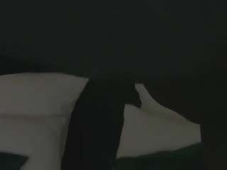 KittyNuarr