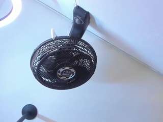NaraStorn live webcam show