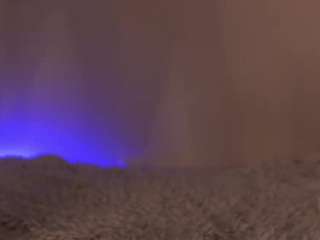 pauline2005 live webcam show