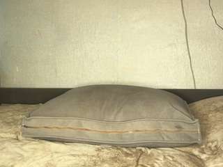 sondrafausnaugh live webcam show