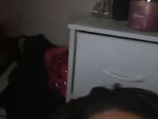 paygenfinch