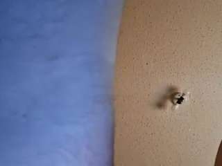 Iccybushhogger83