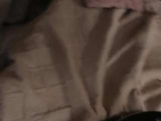 Polly live cam preview