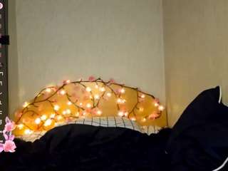 lovettabreault live webcam show