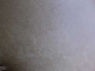 softlatina