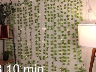 mary-bradley's live room
