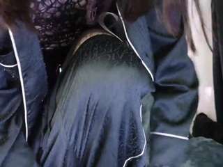 leinfis
